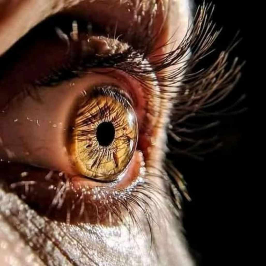 Enxergar a verdade da vida