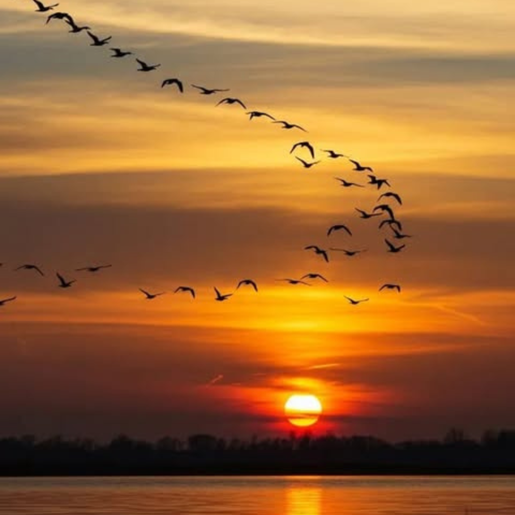 Exalar o bom perfume