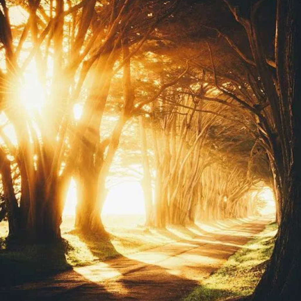 Mudar o seu coração