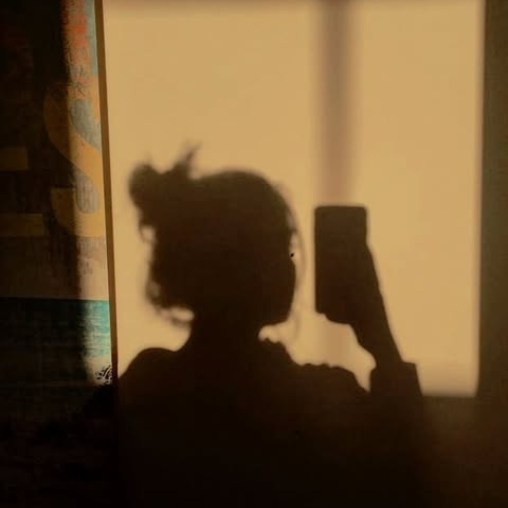 Retrato da Hipocrisia