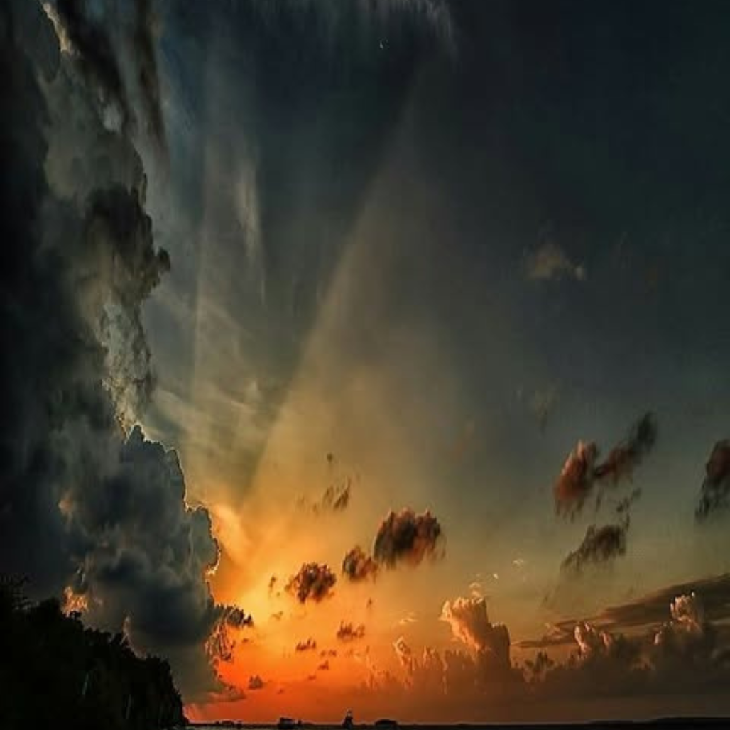 Nós somos a consciência