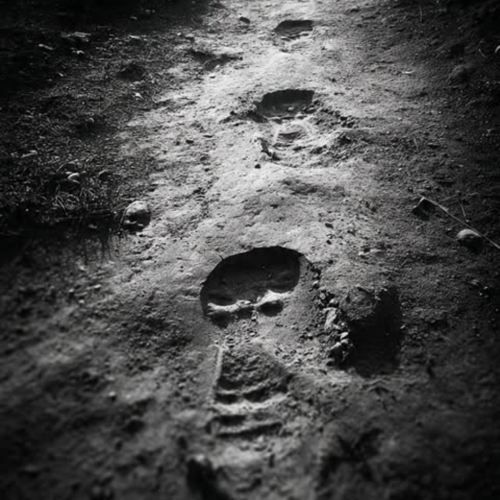 Caminhando para trás