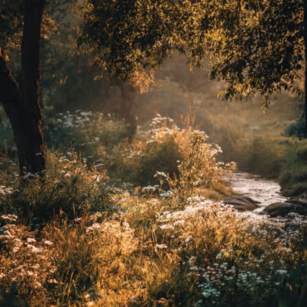 Segundo o Coração de Deus