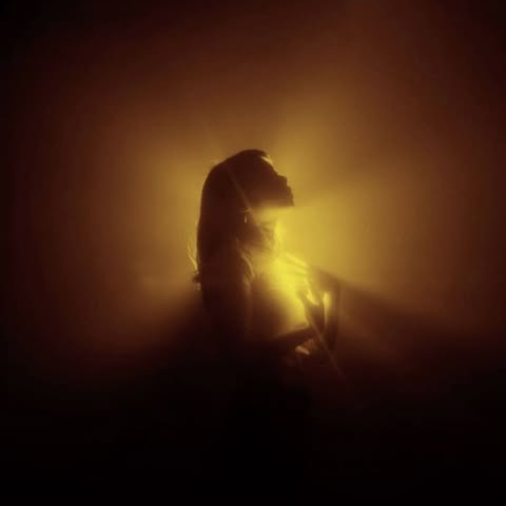 A luz da vida